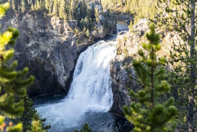 Upper Falls Yellowstone River 2024